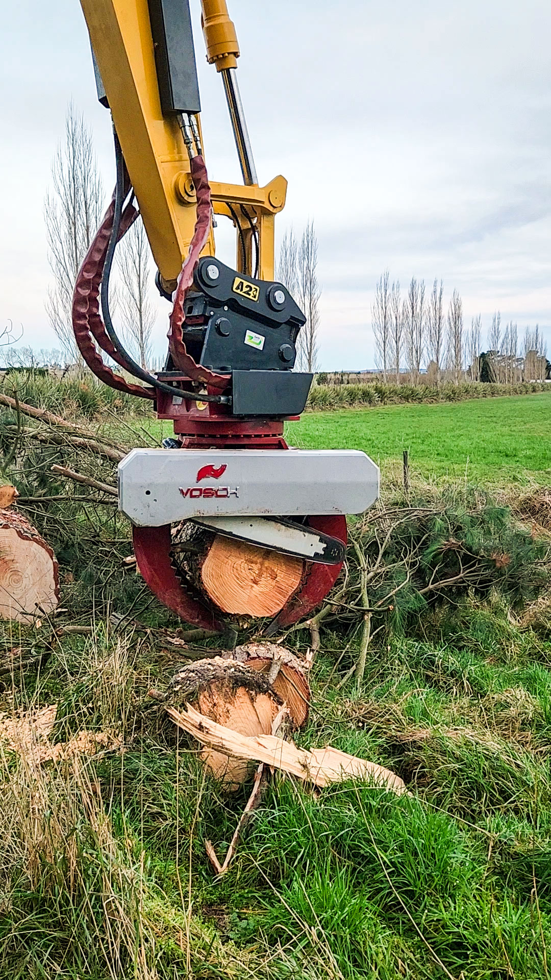 Give chain shot the chop: How to stay safe when clearing trees
